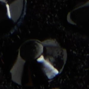 Lux - Image 9