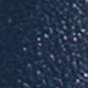 Palmeraa - Image 5